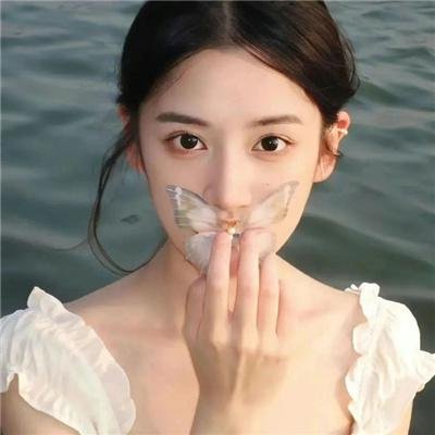 虎鲨在行动